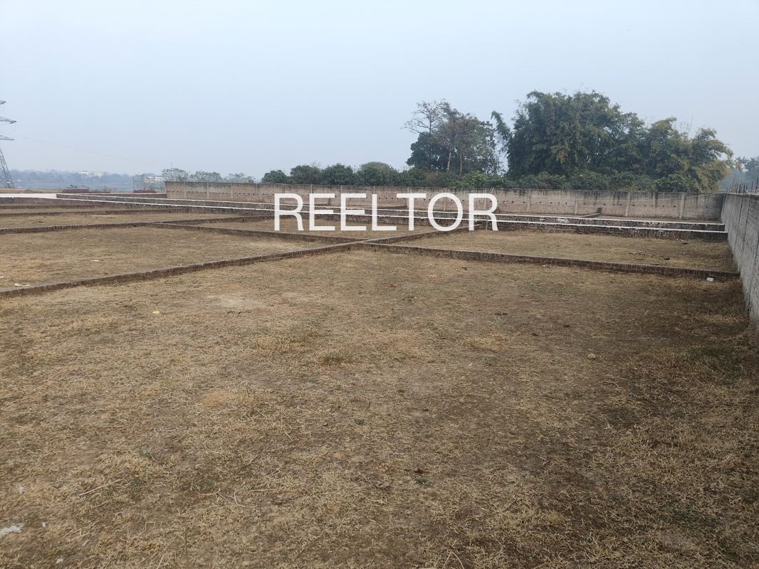 Plots For Sale In Bichitanr Gola