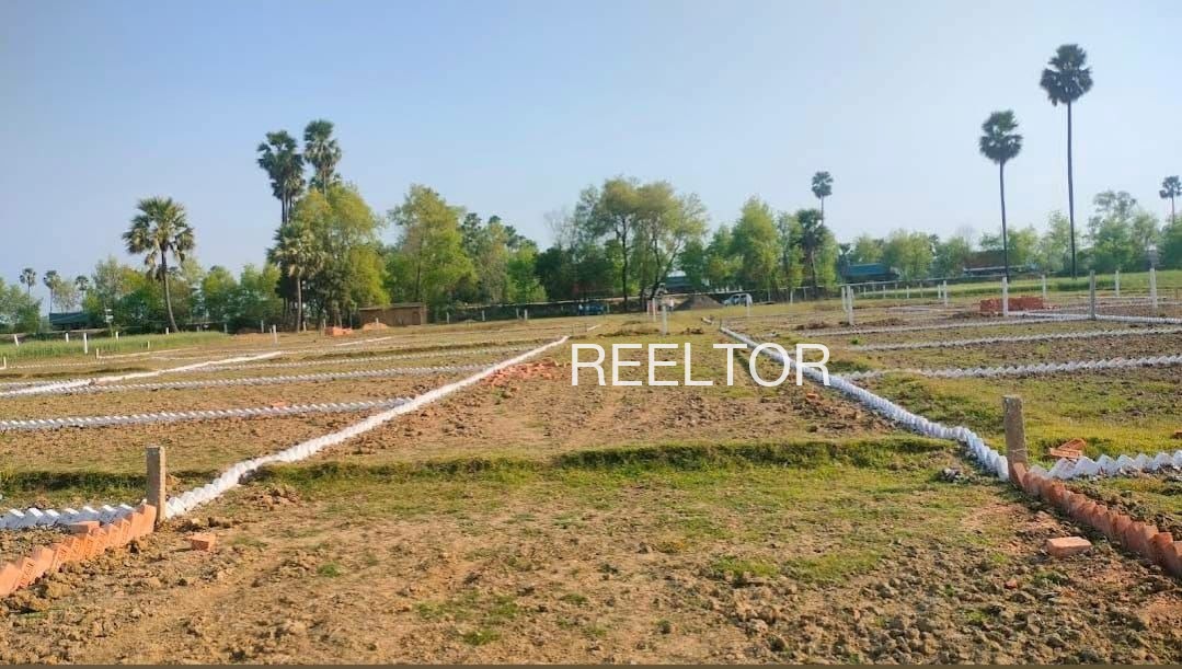 Plots For Sale In Palpur Rajgarh