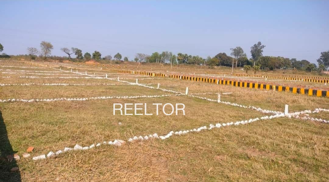 Plots For Sale In Raoke Hithar Guruharsahai