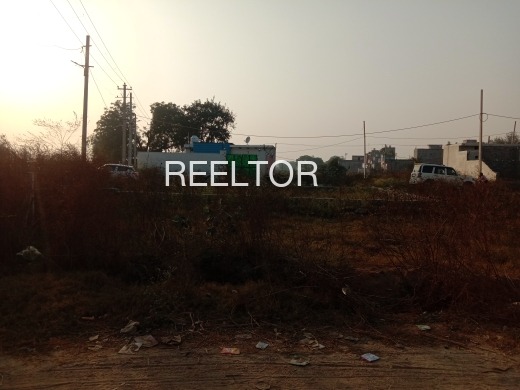 Plots For Sale In Rawon Ki Dhani Udaipurwati