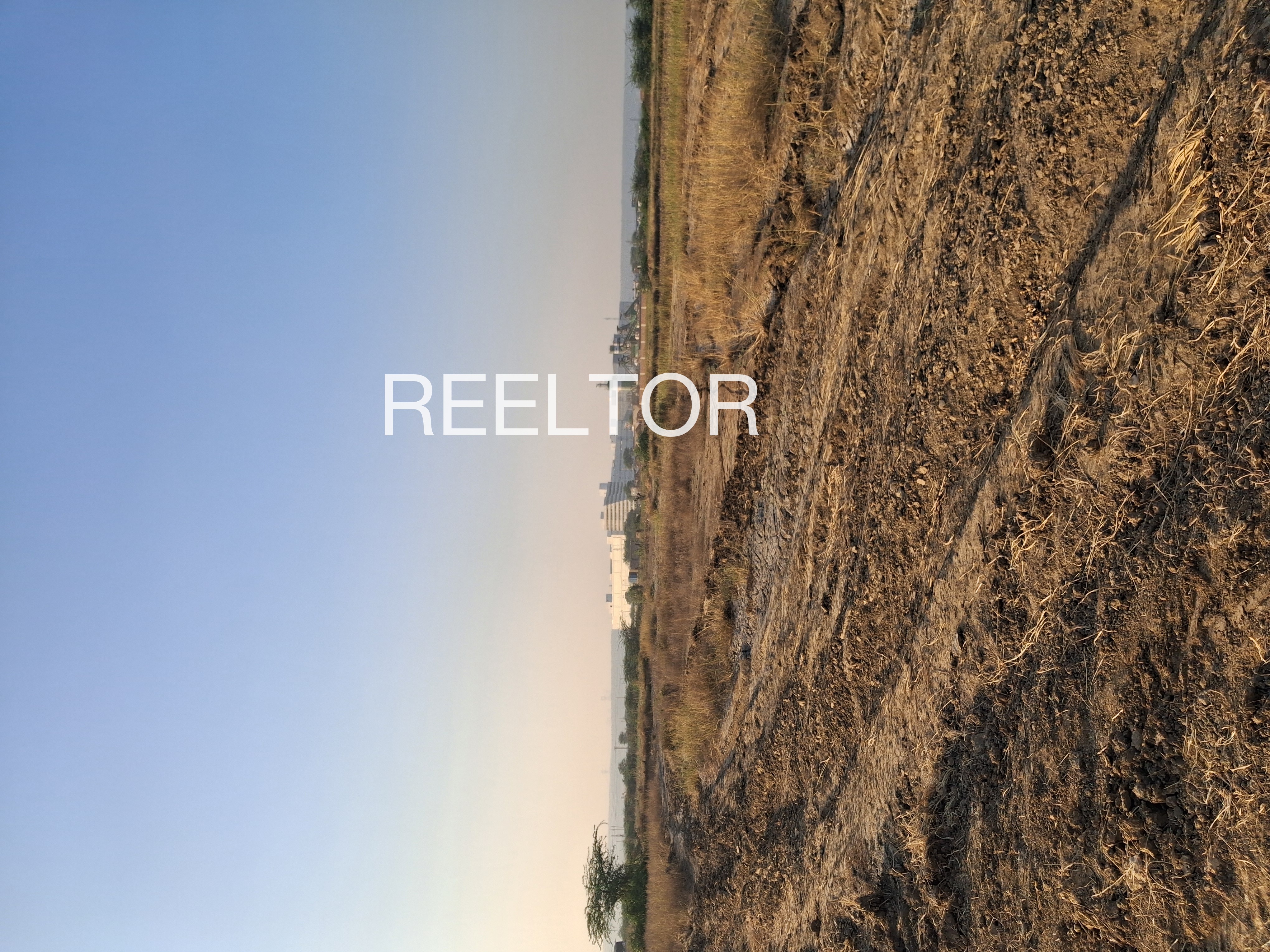 Plots For Sale In Kokri Phula Singh Moga