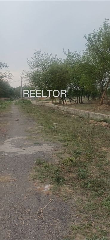 Plots For Sale In Palpur Rajgarh