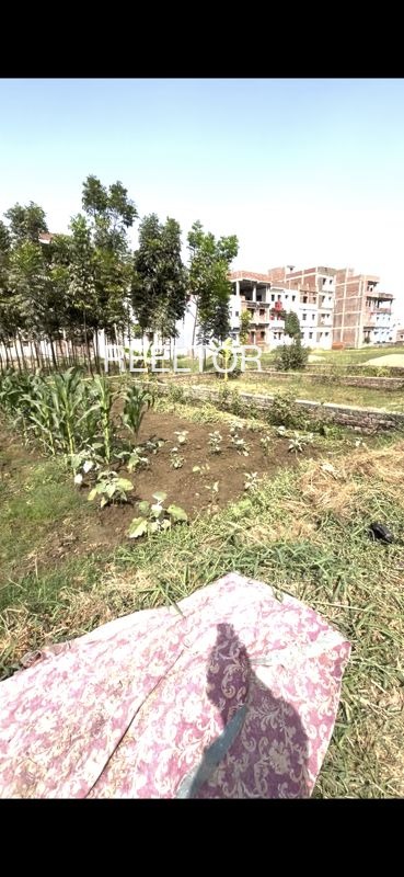 Plots For Sale In Datojipet Kaddampeddur