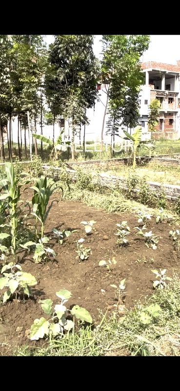 Plots For Sale In Gajadi Jodiya