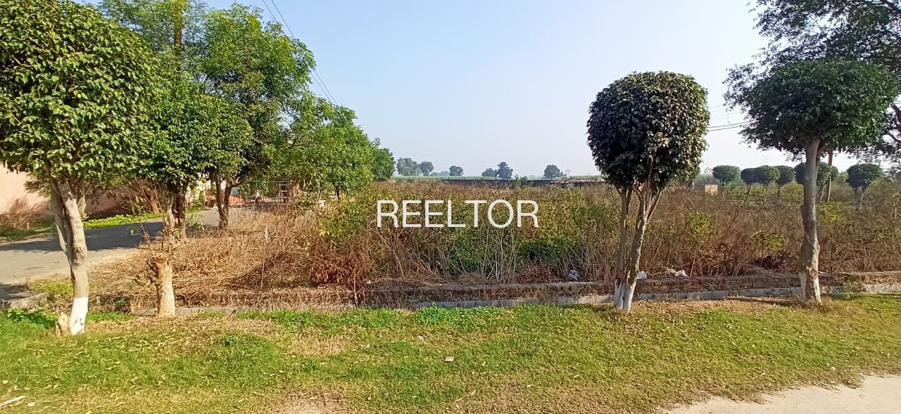 Plots For Sale In Kishangarh Chhana Raikot