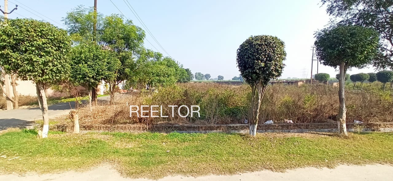 Plots For Sale In Puroni Khategaon