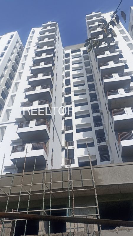 Showroom For Rent In Alisariya Kalapipal