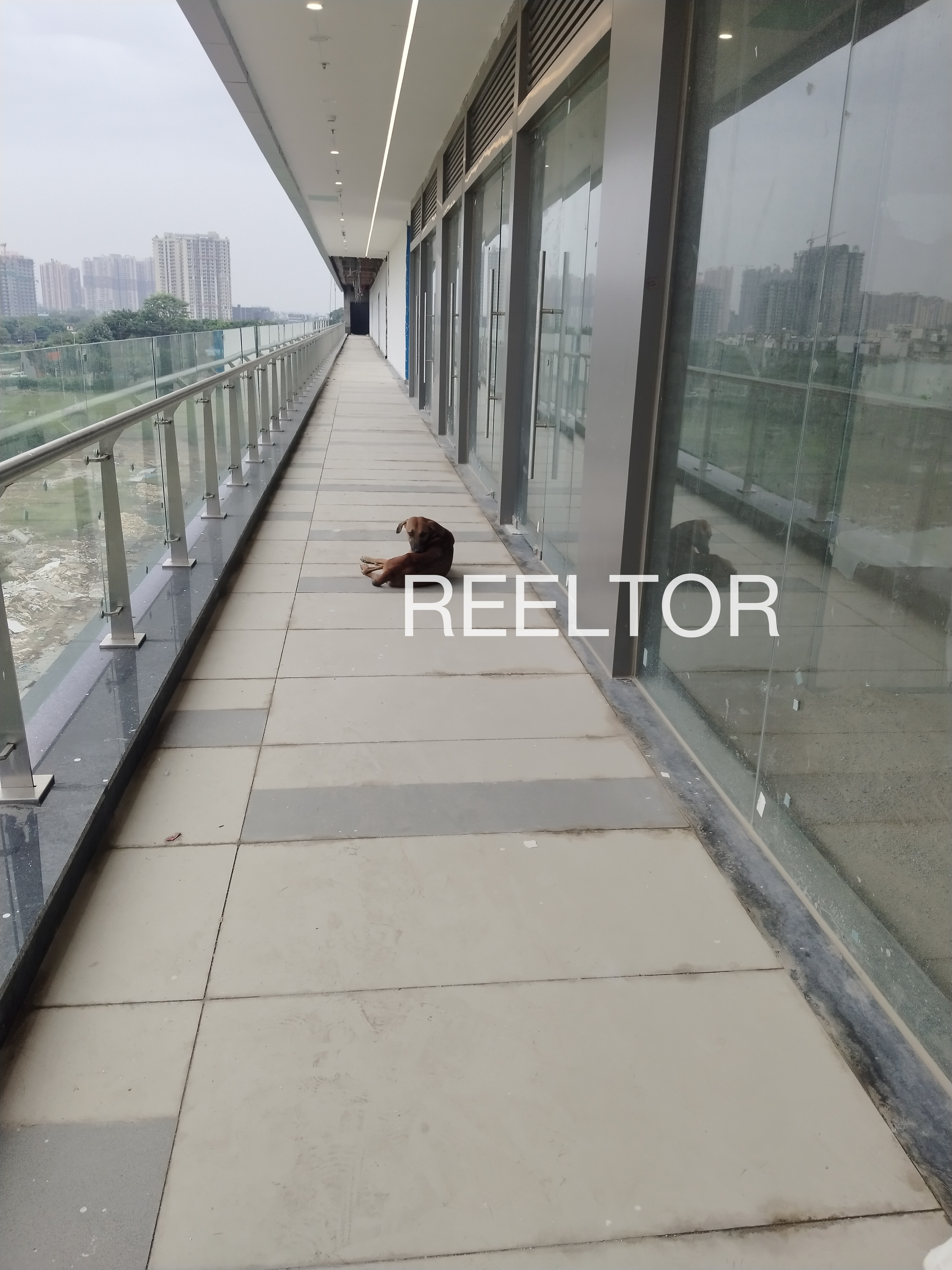 Showroom For Rent In Dhansa Najafgarh