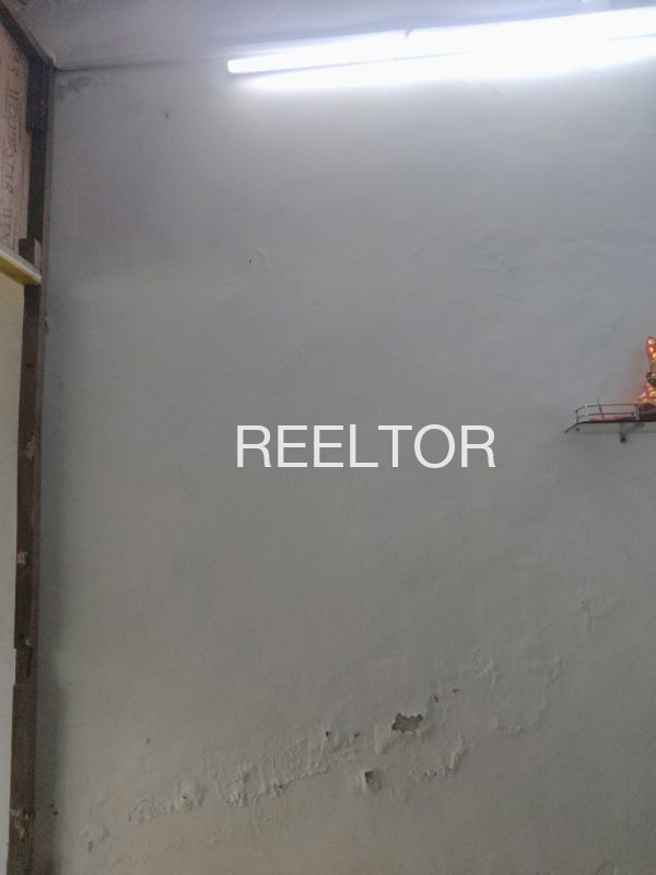 Showroom For Rent In Nathulo Ka Pura Hindaun