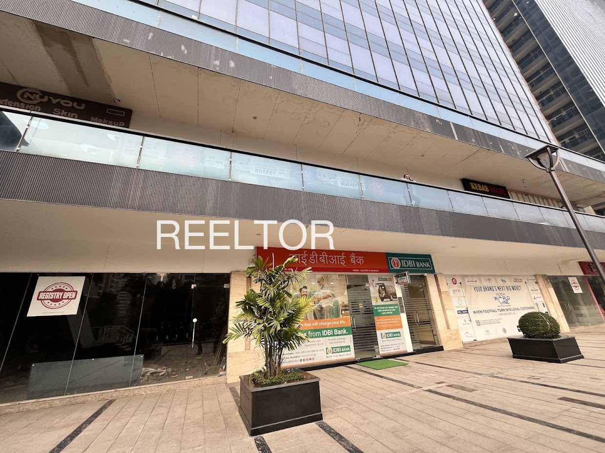 Showroom For Rent In Hamidwala Firozpur