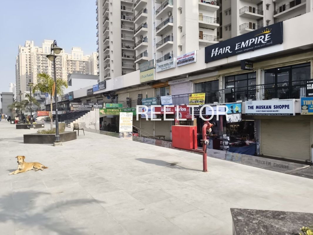 Showroom For Sale In Barauda Gohana