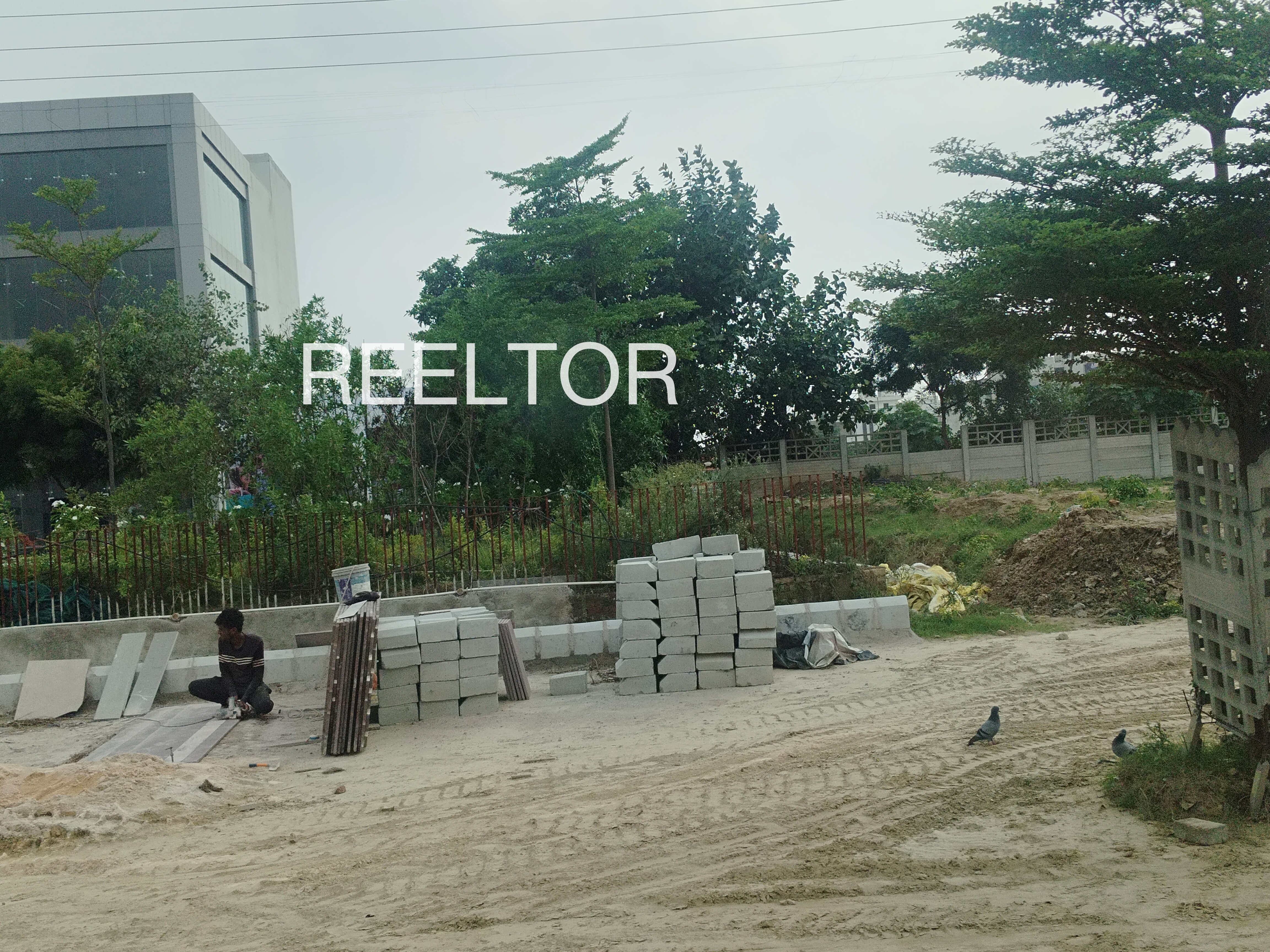 Shop For Sale In Pingor Hassanpur