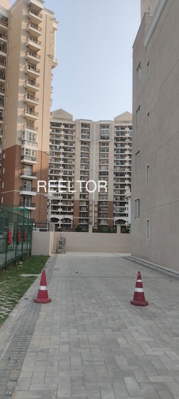 Showroom For Rent In Bandasuraguda Jeypore