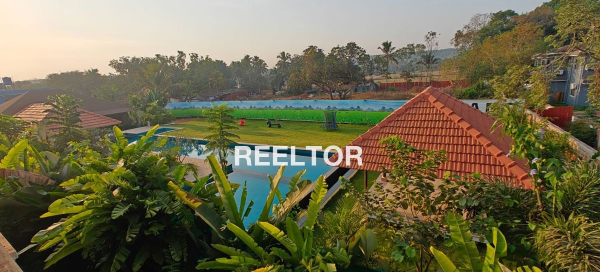 Shop For Sale In Harola Dadri