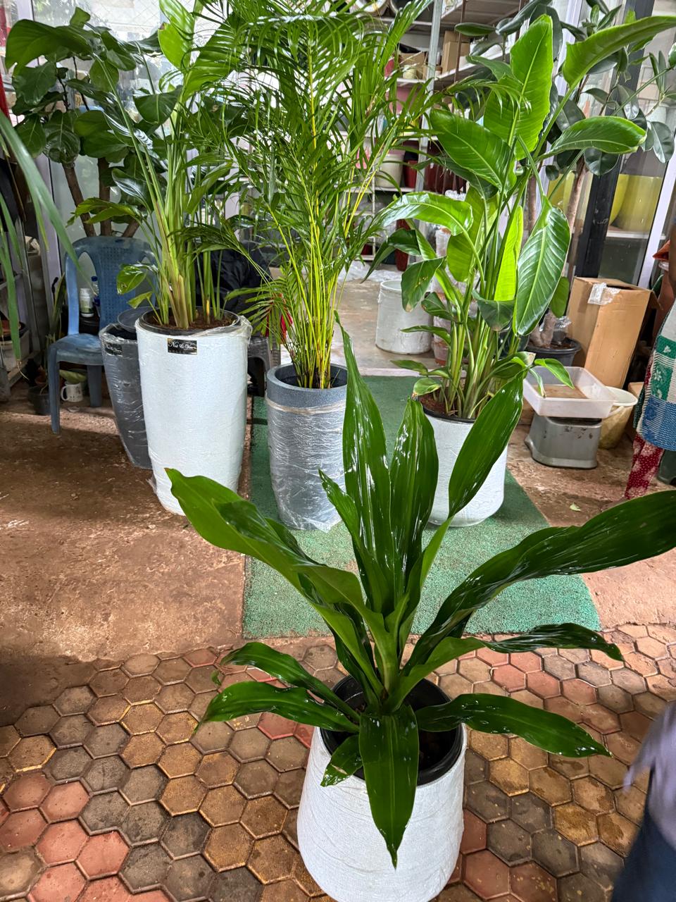 Villa For Sale In Janaphul Habra