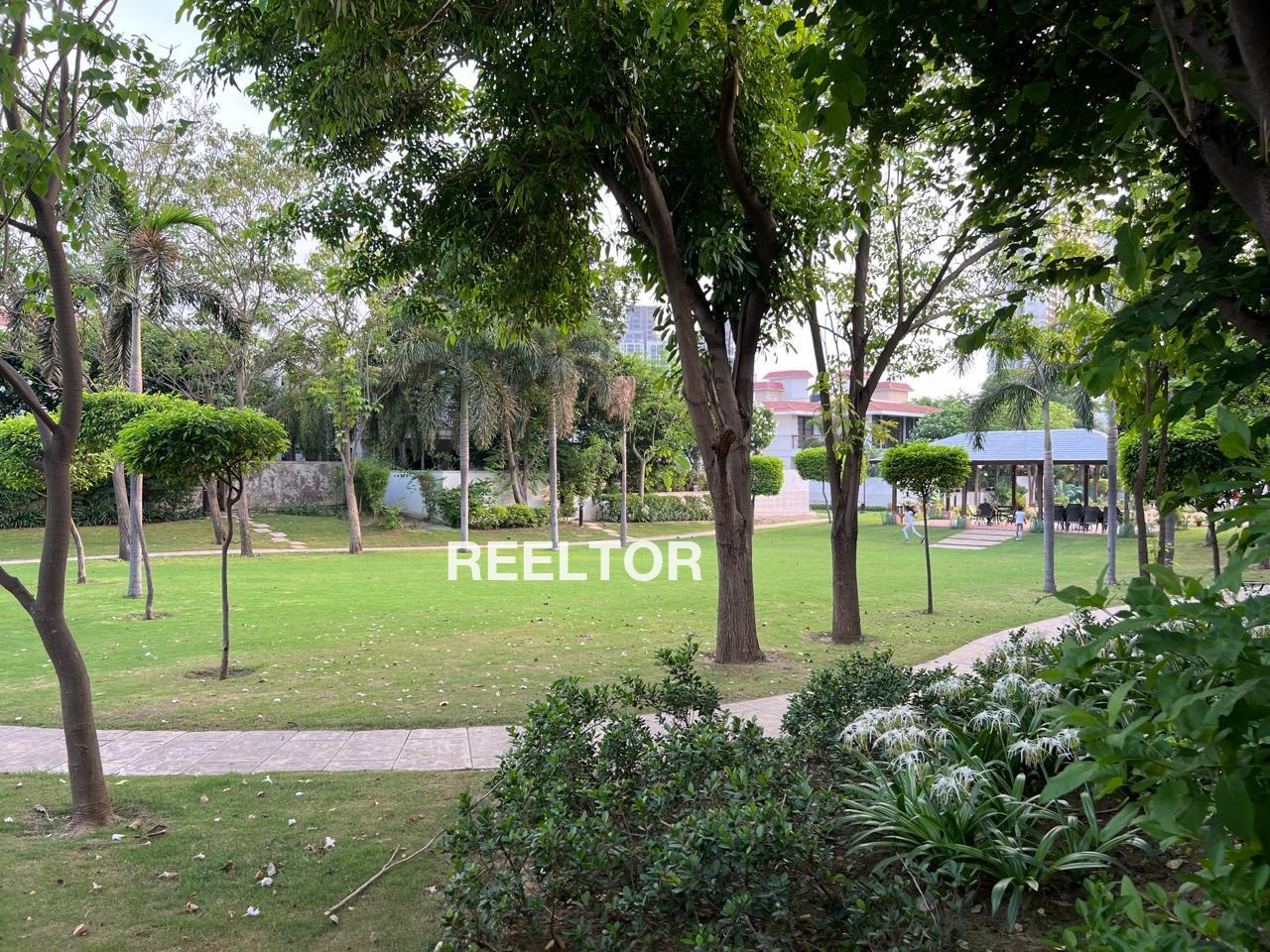 Shop For Rent In Rajeev Nagar Faridabad