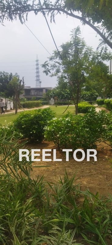 Lajpat Nagar 1 Bhk Rent