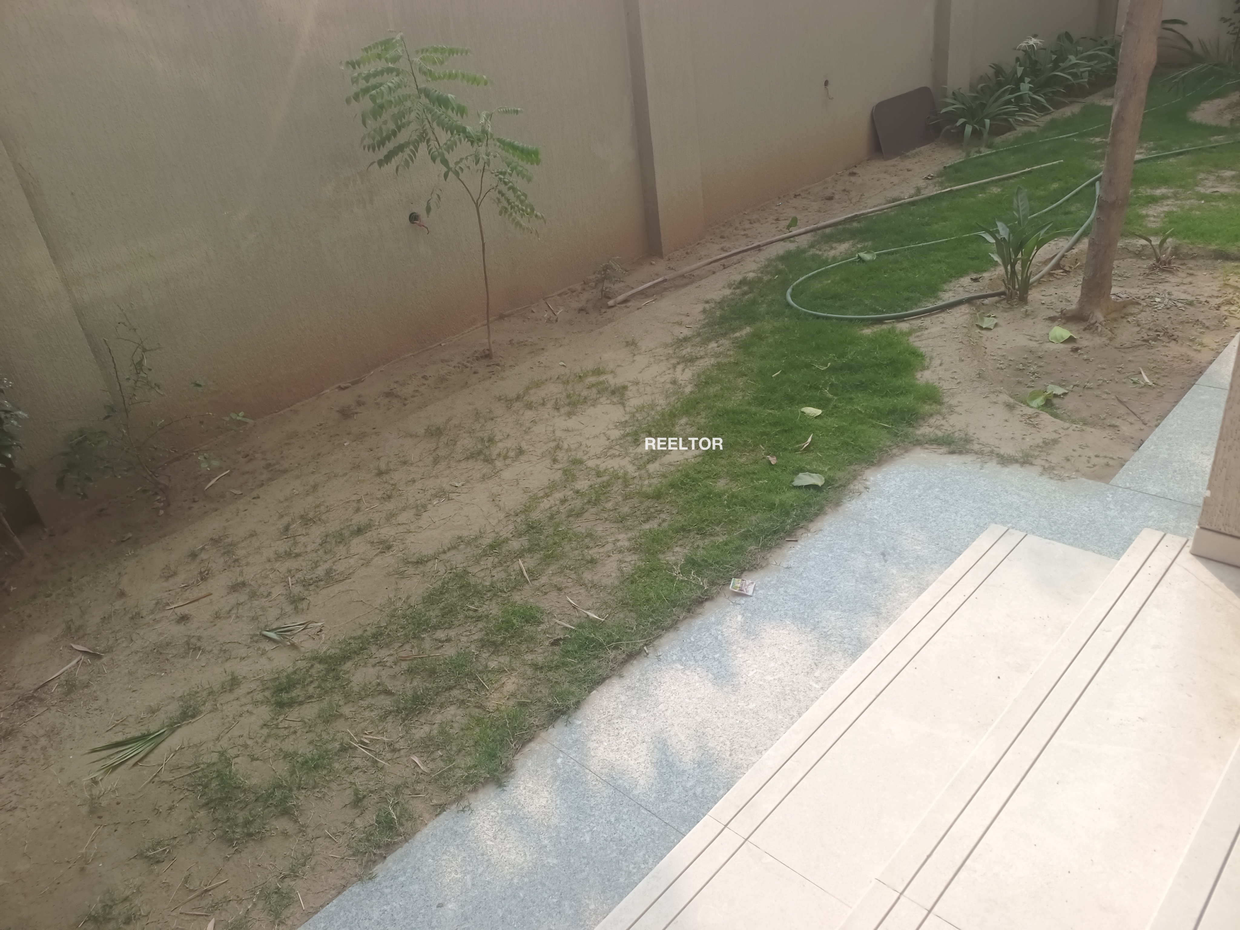 Shop For Sale In Daryapur Kapashera