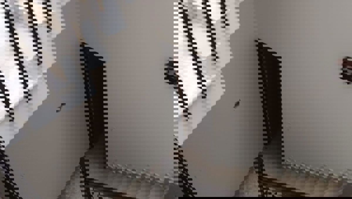 Shop For Rent In Saini Colony Jaipur