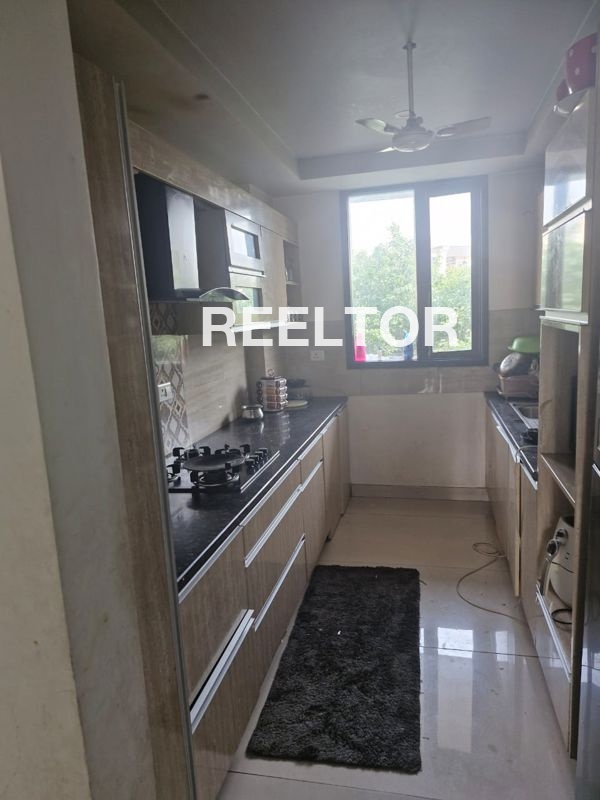 Villa For Rent In Bordhi Rehti