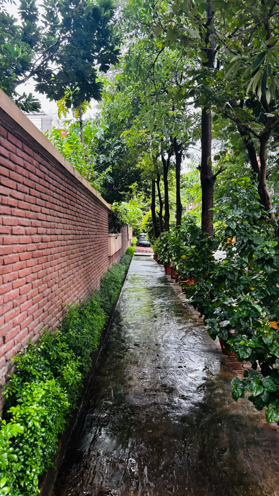 Shop For Rent In Dharavi