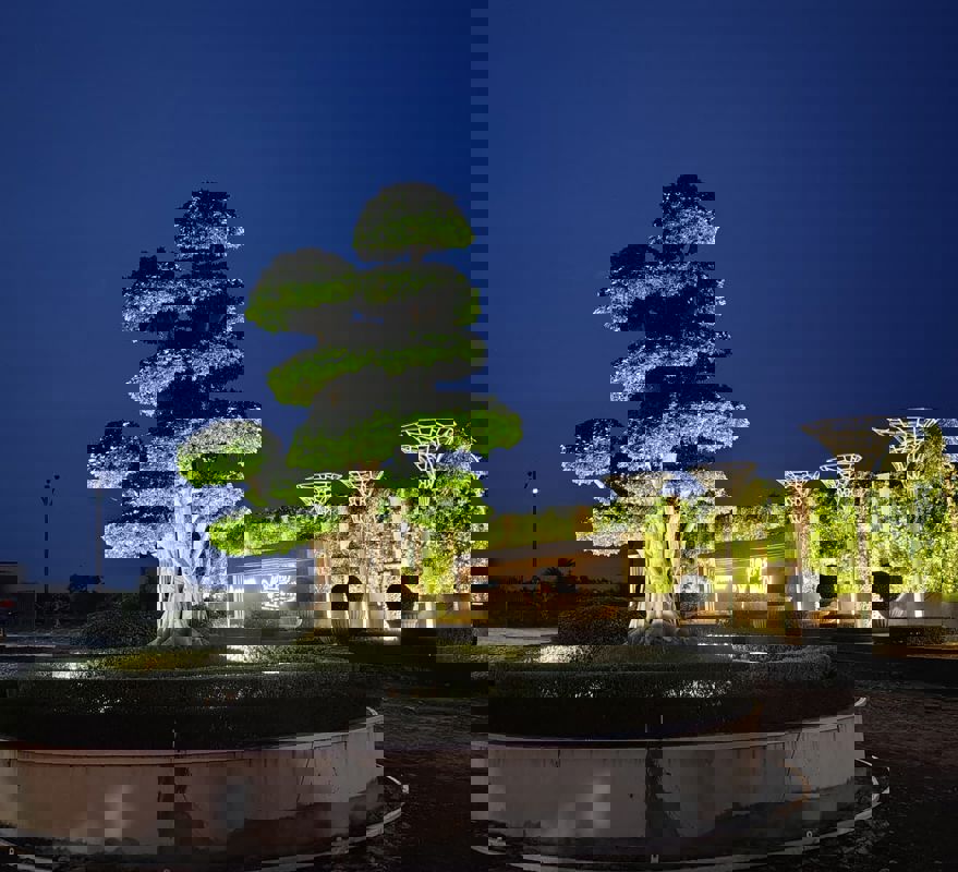 Shop For Rent In Motaganahalli Magadiu