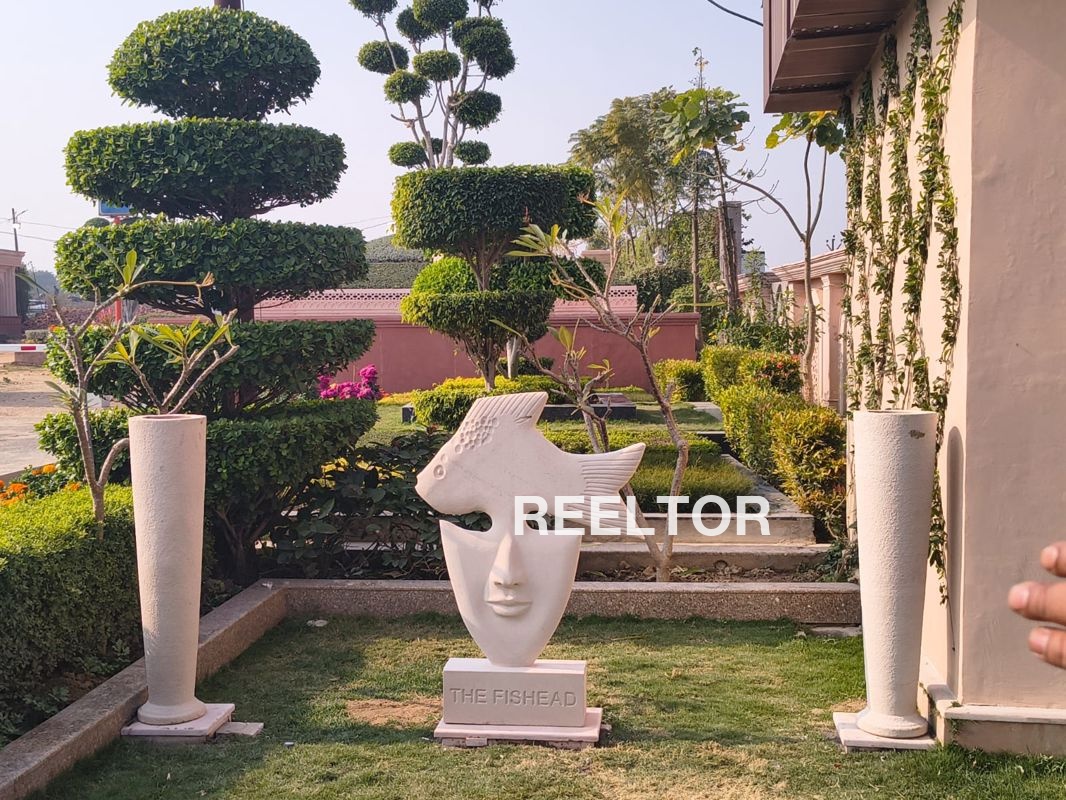 Shop For Rent In Sikandarpur Dadri