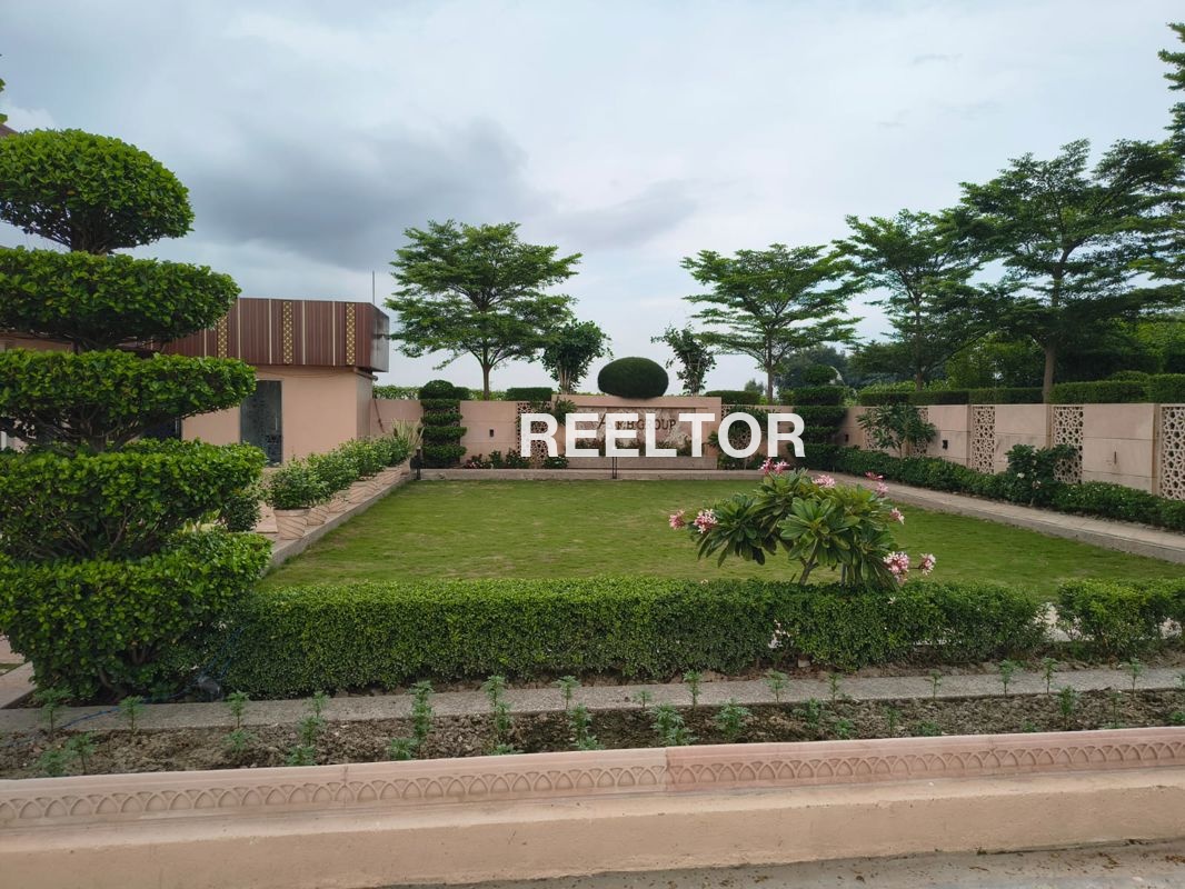 Villa For Rent In Jodky Rajgarh