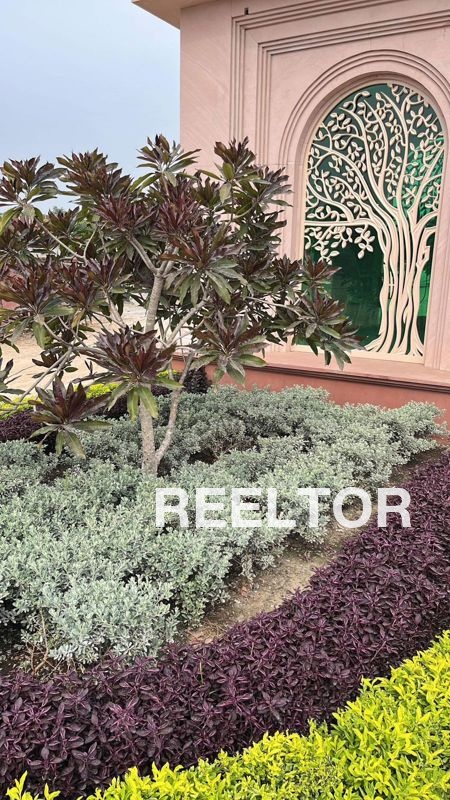 Villa For Rent In Hulka Rajpura