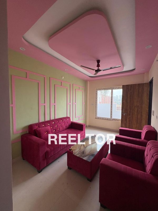 Shop For Sale In Mamura Dadri