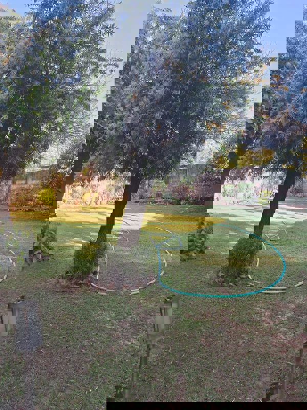 Residential Area Near Delhi Airport