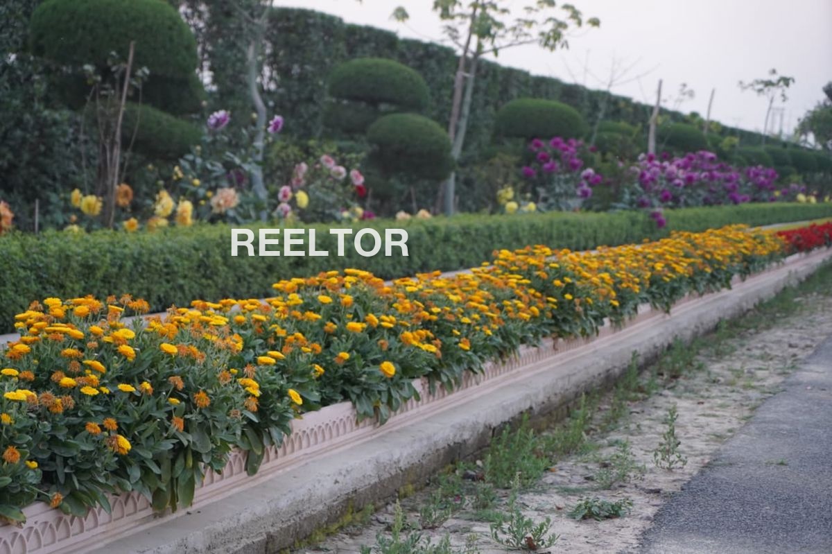 Villa For Rent In Saroor Pur Ballabgarh