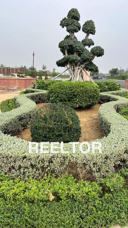 Villa For Rent In Khandawli Ballabgarh