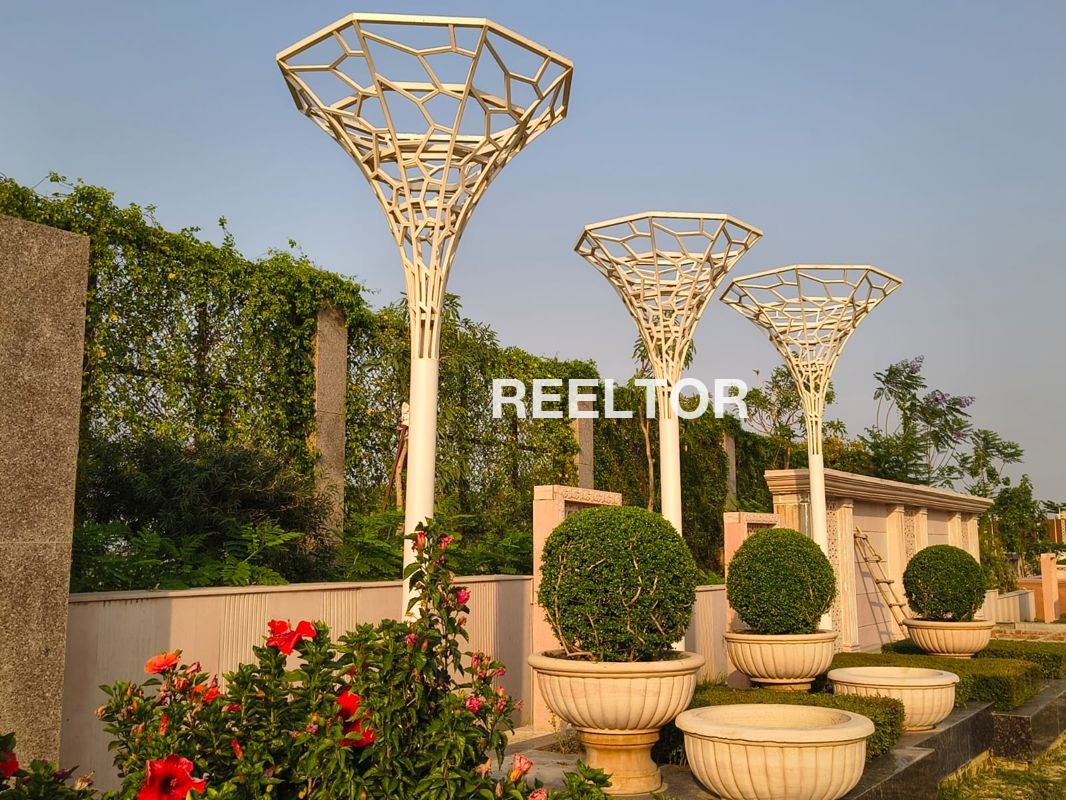 Shop For Sale In Chhalera Dadri