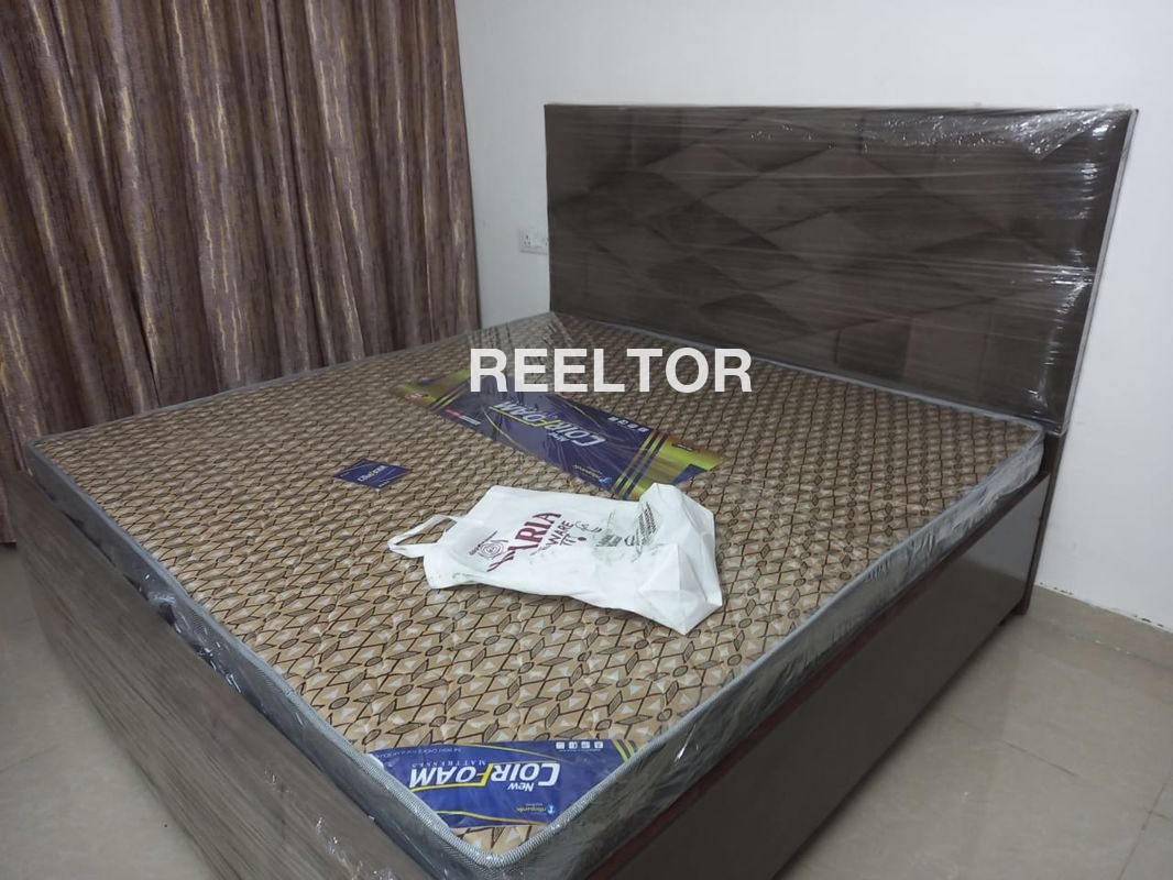 House On Rent In Bhopal Near Ayodhya Bypass