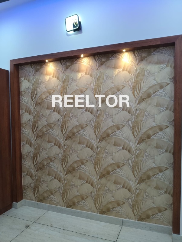 Shop For Sale In Harola Dadri