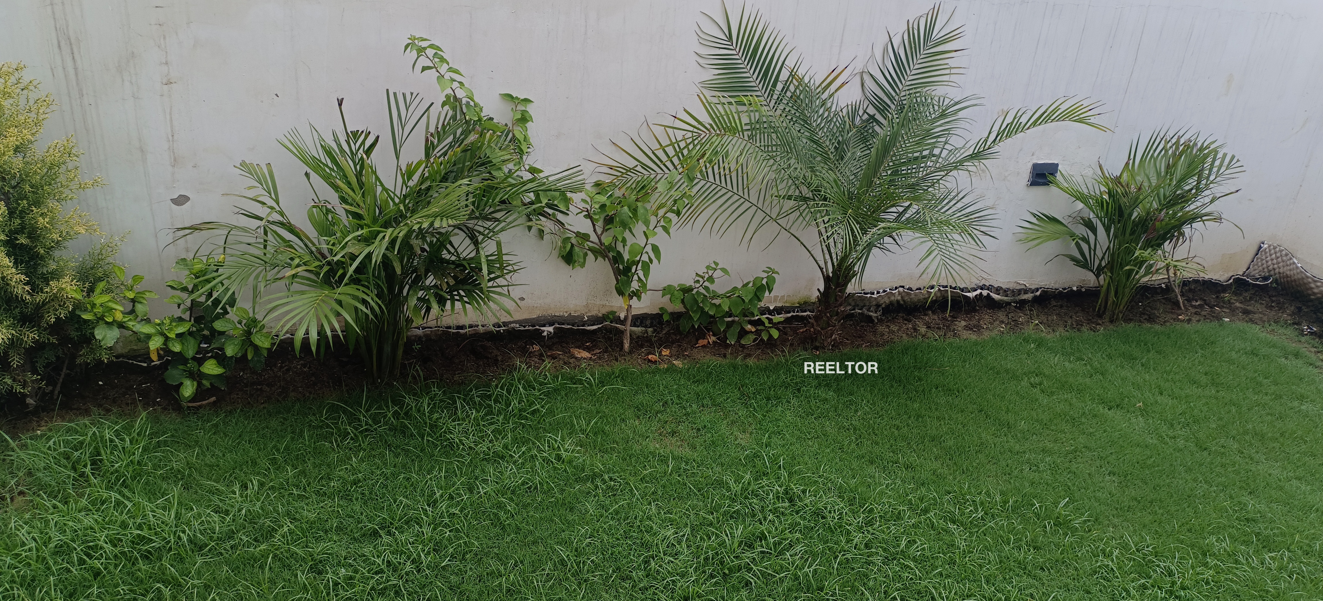 Villa For Rent In Hat Gachha Bidhannagar