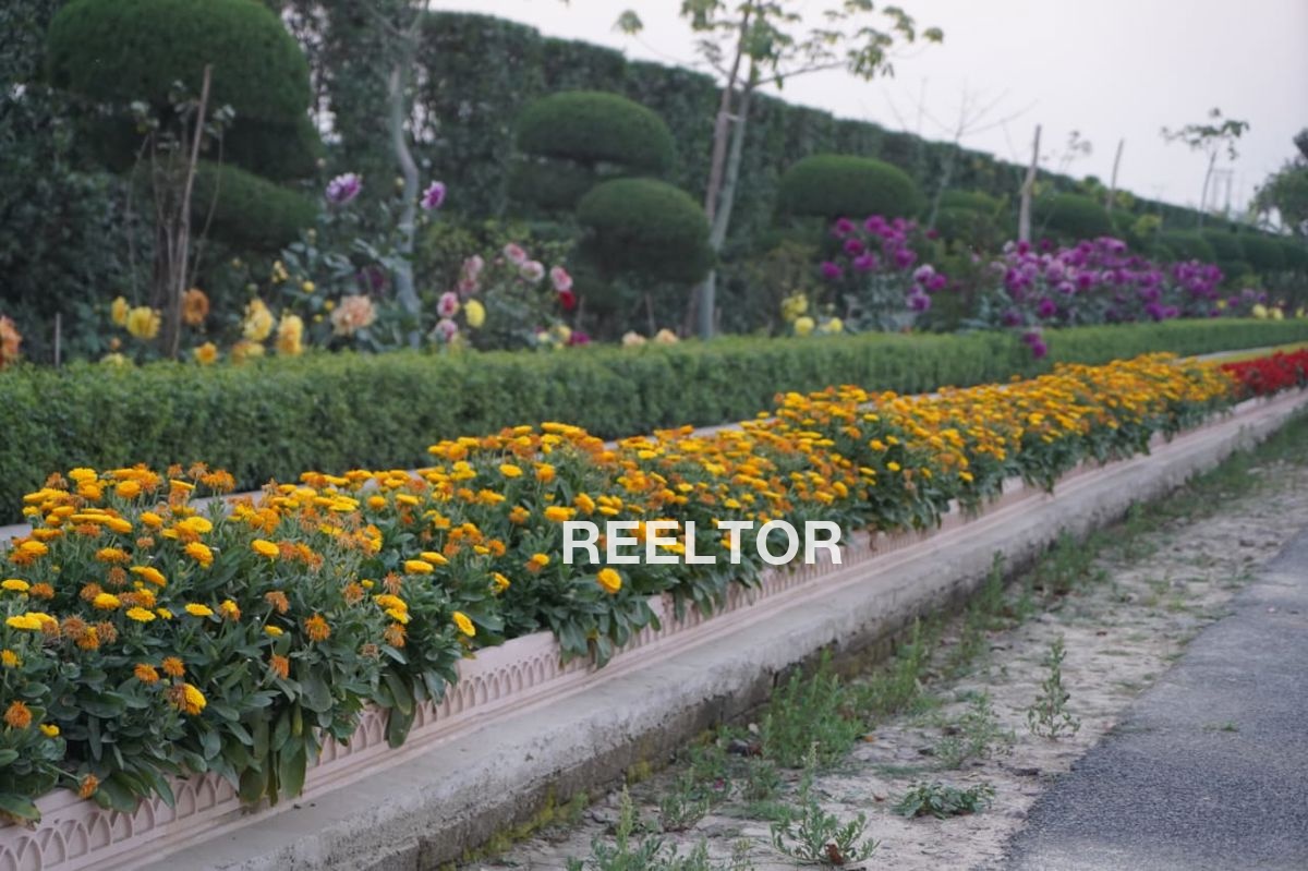 Shop For Sale In Gevande Velhe