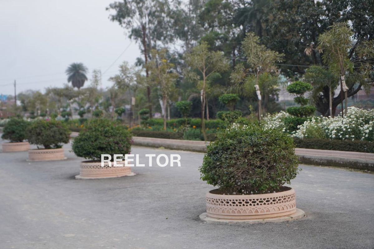 Shop For Rent In Begampur Rohini