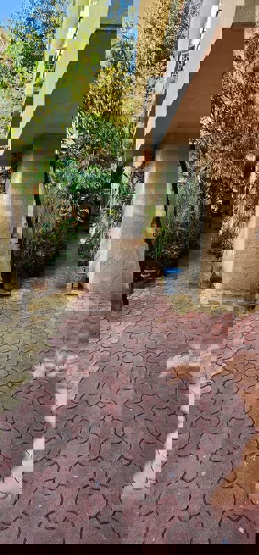 House For Rent In Pulianthope Pattalam Market