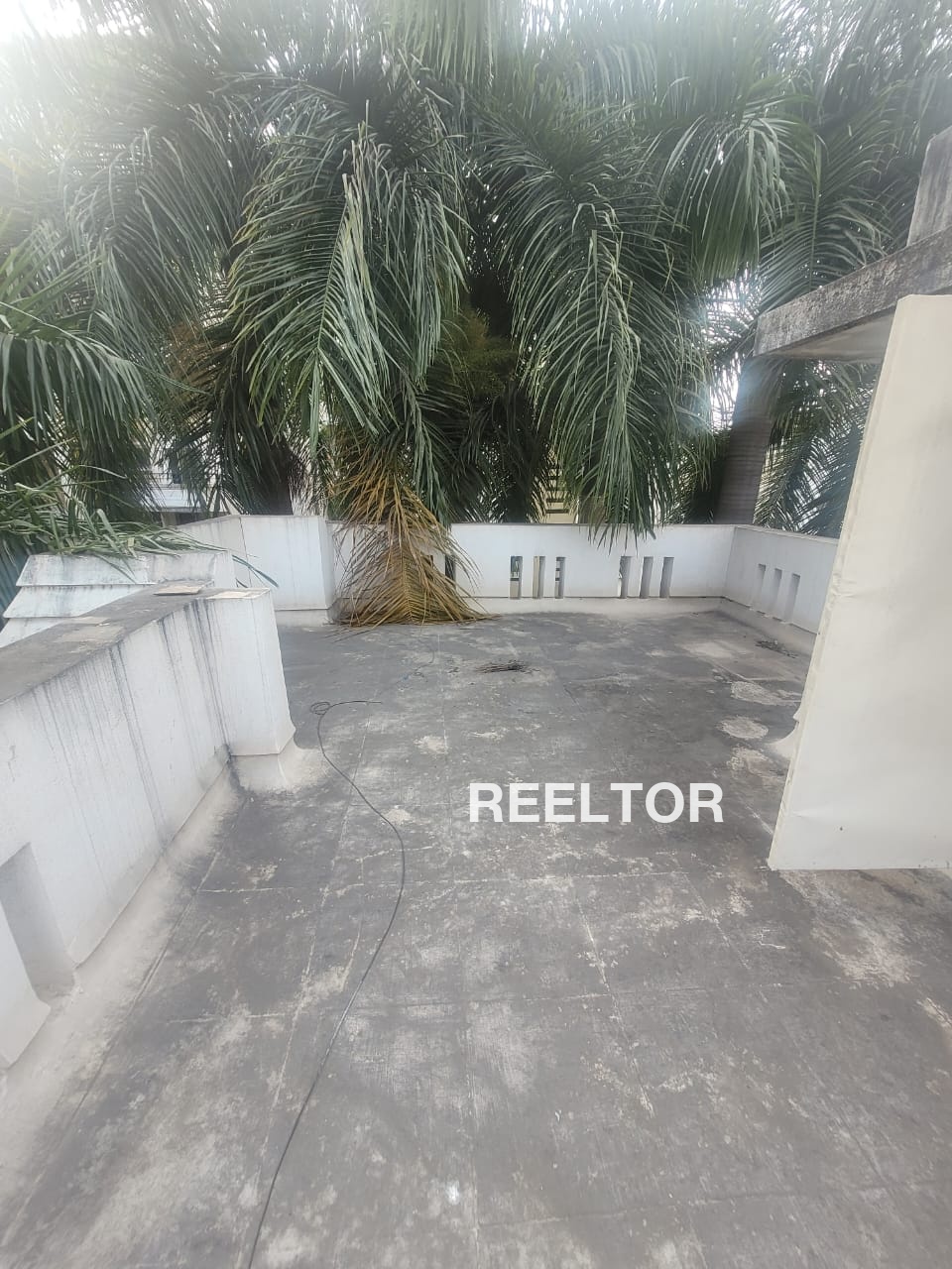 Shop For Rent In Saini Colony Jaipur