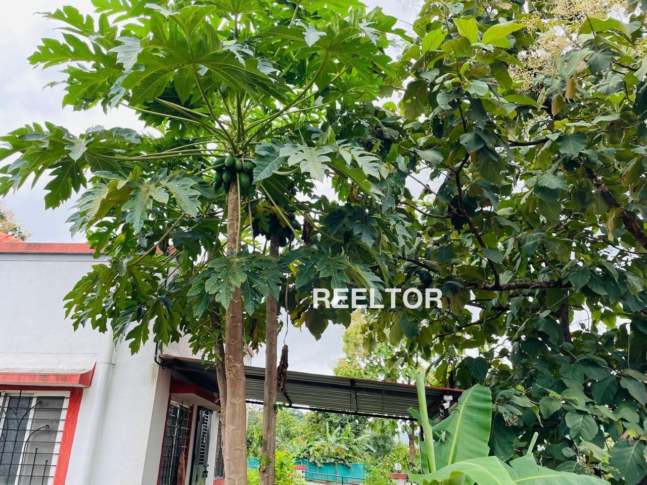 Villa For Rent In Kajaliya Maksoodangarh