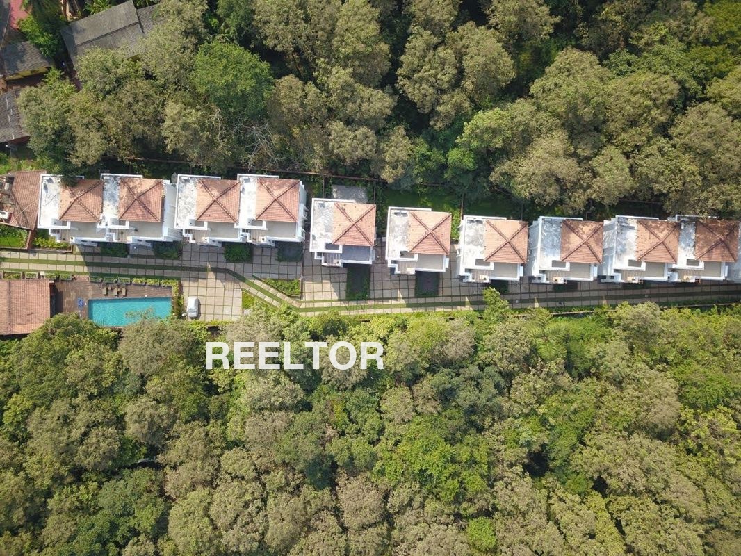 Bptp Park Serene Sector 37d Gurgaon Rent